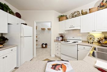 Walton Centennial Model Kitchen, Roswell GA